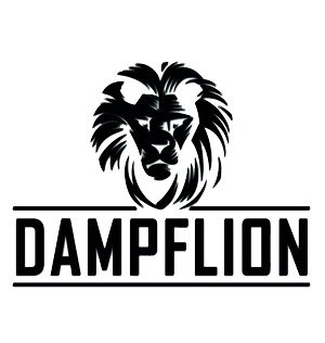 Dampflion Logo